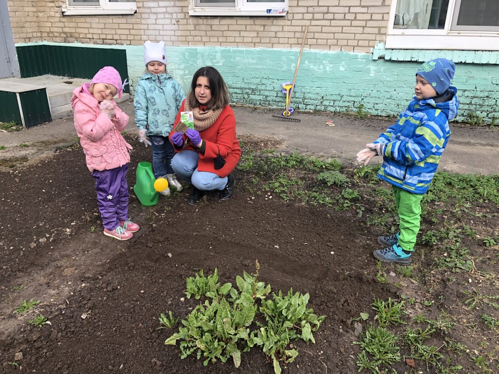 Сад жизни. Наш огород. Лет сад.